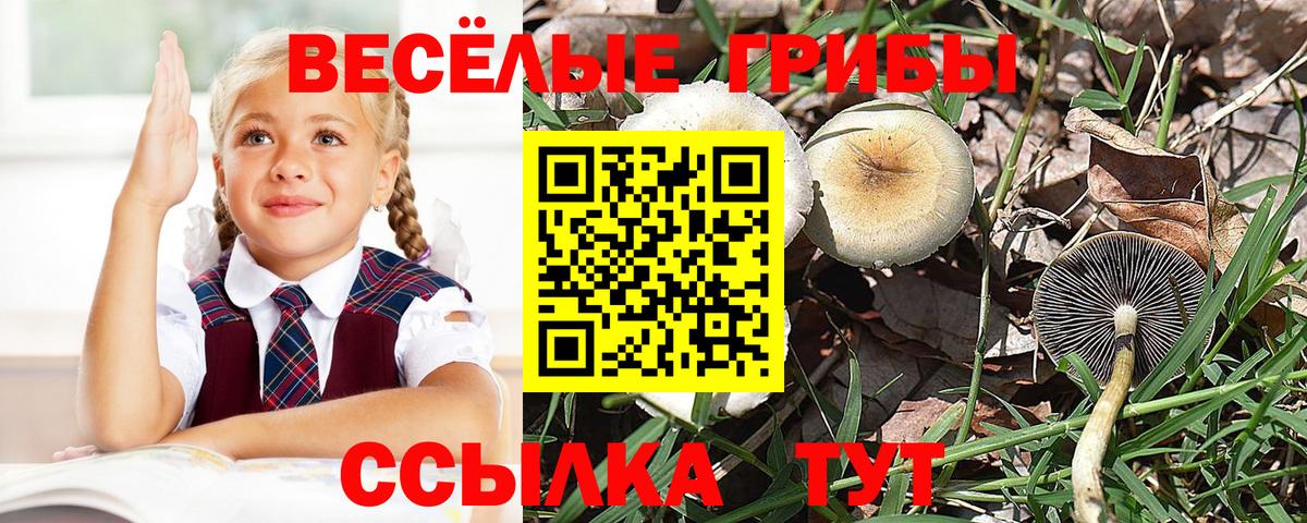 Псилоцибиновые грибы прущие грибы  Галлюциногенные грибы Magic Shrooms  Вход с VPN  Калач-на-Дону 